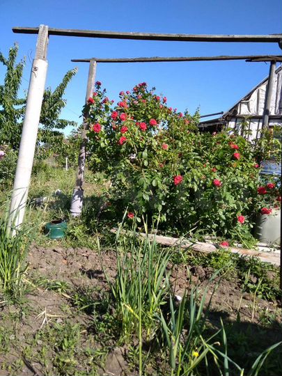 Дача 20 м² на участке 6 сот.