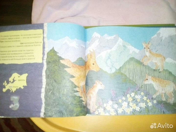 Энциклопедия+счёт