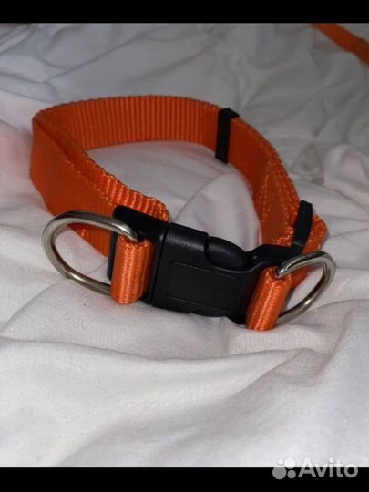 Ошейник для собак