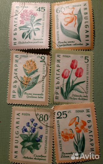 Марки Цветы нрб