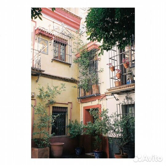 Плёночный фотоаппарат Minolta Zoom 130C