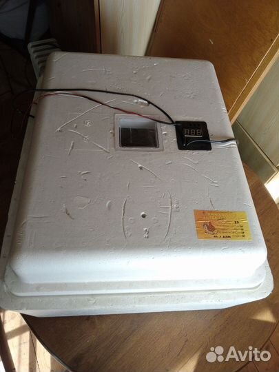 Инкубатор несушка на 77 яиц