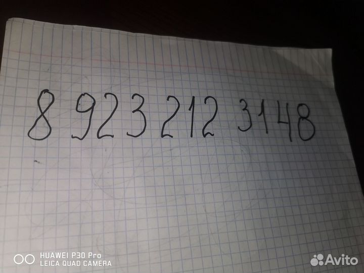 Продам рассаду