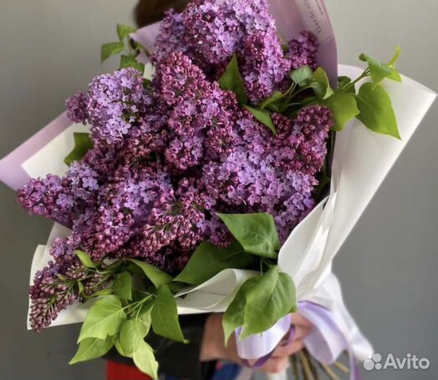 Букет сирени с доставкой 15 25 31 51 75 101