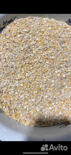 Кукуруза дробленая