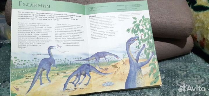 Энциклопедия динозавров