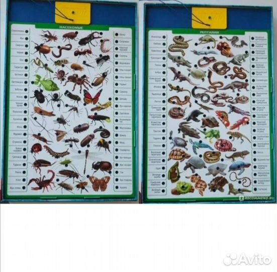 Электровикторина Educa Животный мир новая