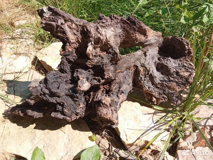 Коряга для террариума или декора дома и офиса