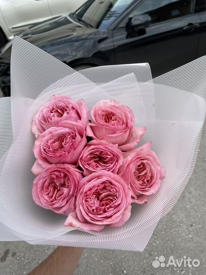 Букет пионовидных роз Эквадор / пионы розы