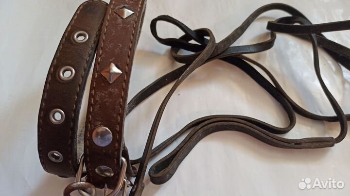 Ошейник с поводком для собаки