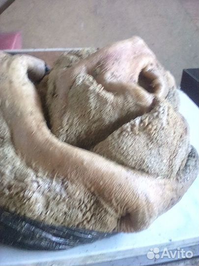 Мясопродукты для собак и кошек