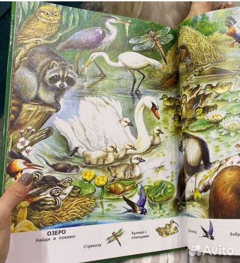 Большая книга о животных Виммельбух