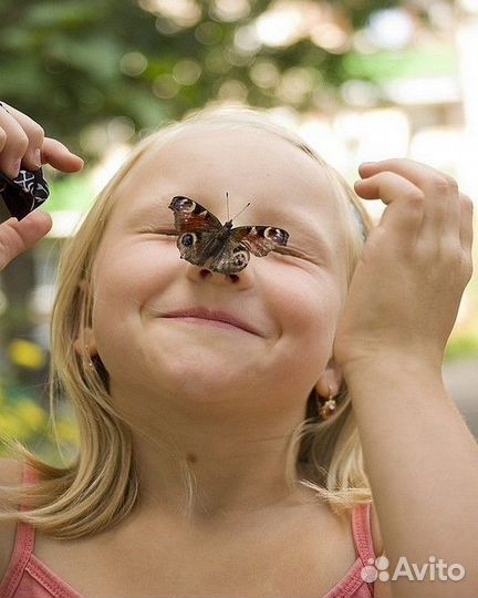 Детская миниферма Живых Тропических Бабочек