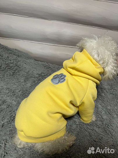 Одежда на заказ для собак, толстовка, комбинезон