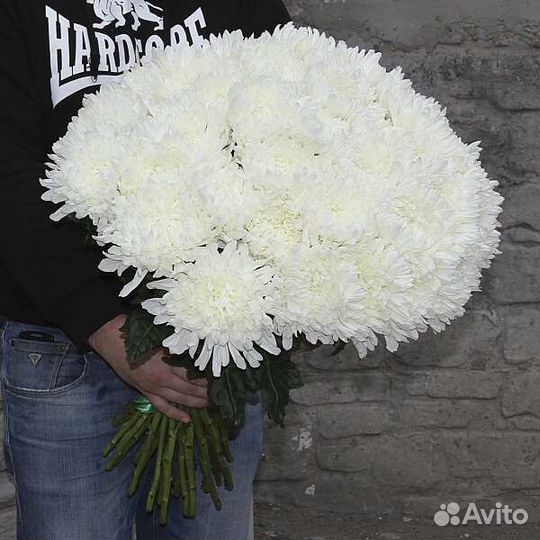 Хризантема одноголовая