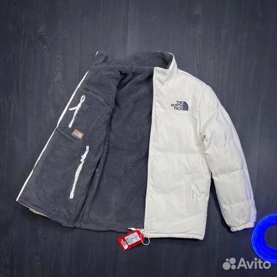 Мужская куртка демисезонная TNF