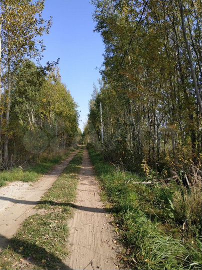 Участок 11 сот. (ИЖС)