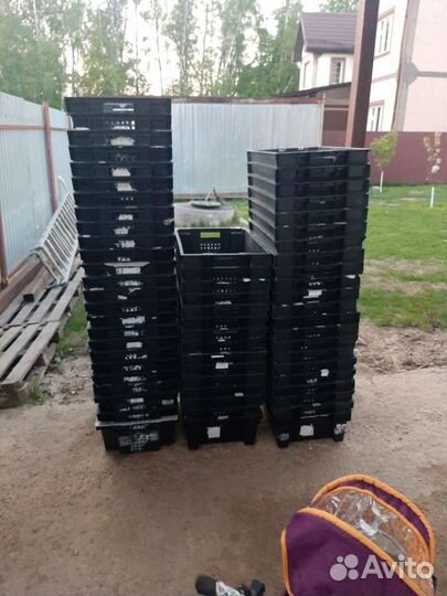 Пластиковые ящики бу