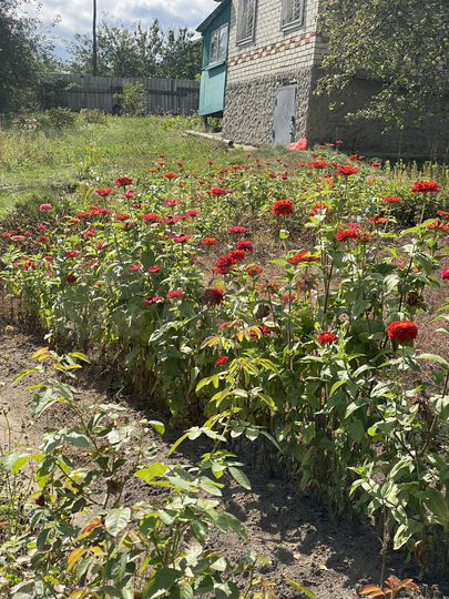 Дача 30,7 м² на участке 8,8 сот.