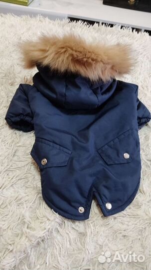 Комбинезон для собак мелких пород XL