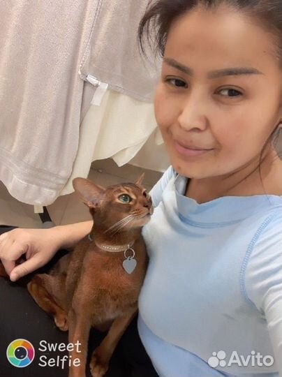 Домработница