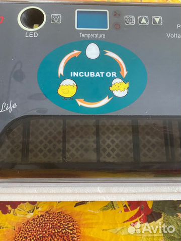 Hhd автоматический инкубатор