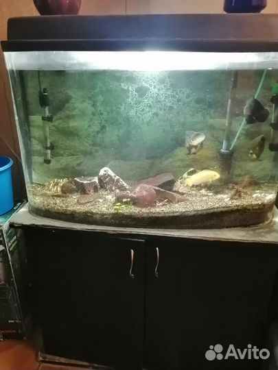 Аквариум с тумбой бу