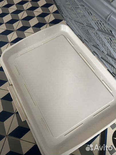 Лоток для собак