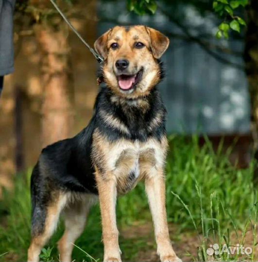 Лана душа компании