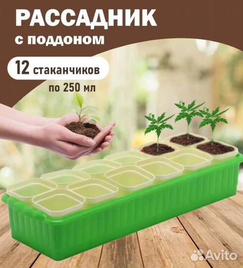 Набор для рассады 12 стаканов. Пластиковый парник