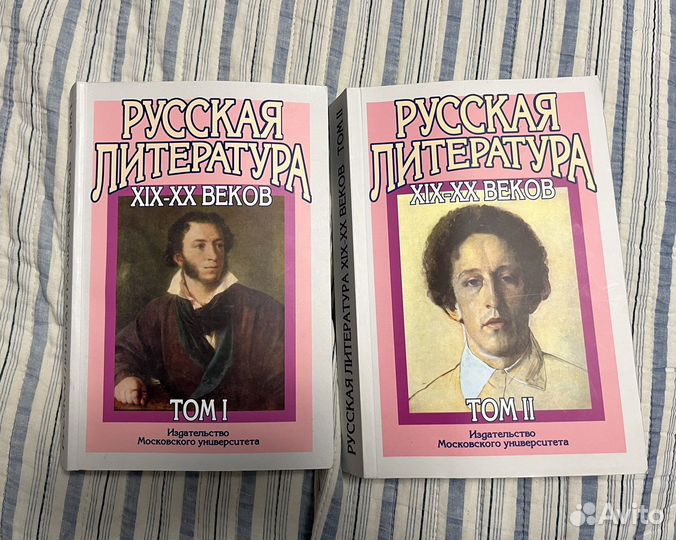 Русская литература XIX-XX веков, в 2-х томах МГУ