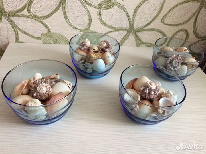 Ракушки для декора