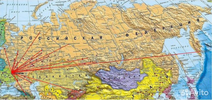 Черные щенки немецкой овчарки из питомника