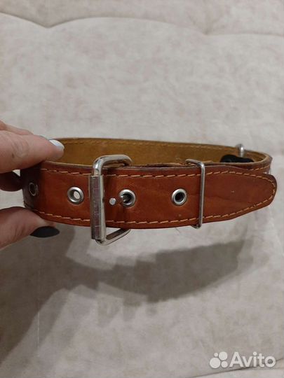 Ошейник для животных