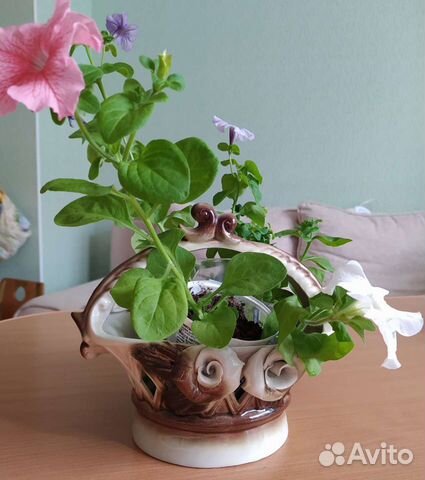 Стопки, Ваза