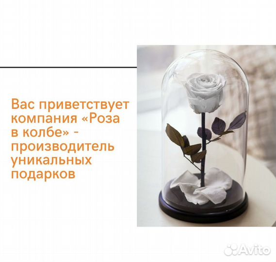 Роза в колбе. Оттенки на выбор