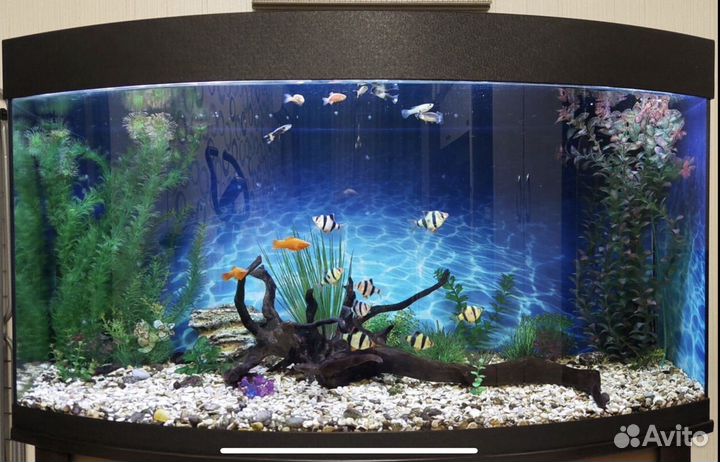 Аквариум Aqua Plus