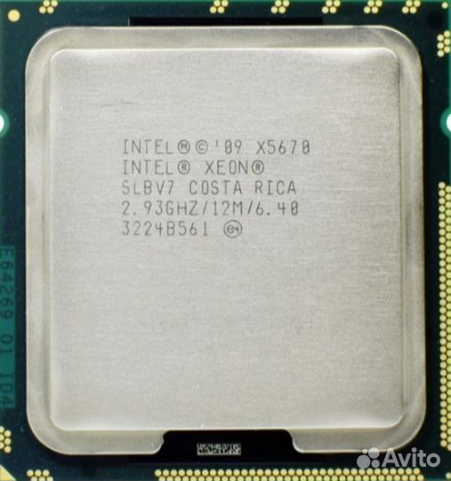 Intel core i5 6600, xeon x5670, celeron g3900