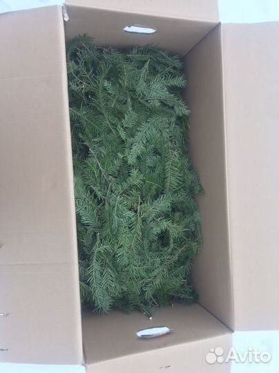 Ароматная пихтовая запарка для бани и сауны