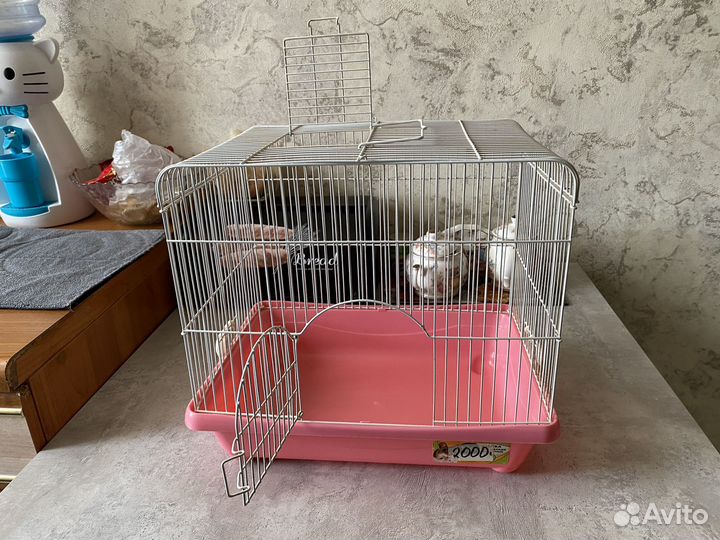 Клетка для грызунов