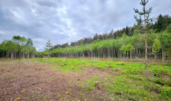 Участок 18,4 сот. (СНТ, ДНП)