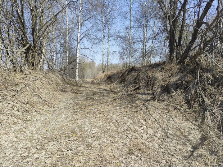 Участок 38 сот. (СНТ, ДНП)