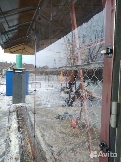 Окна для беседки