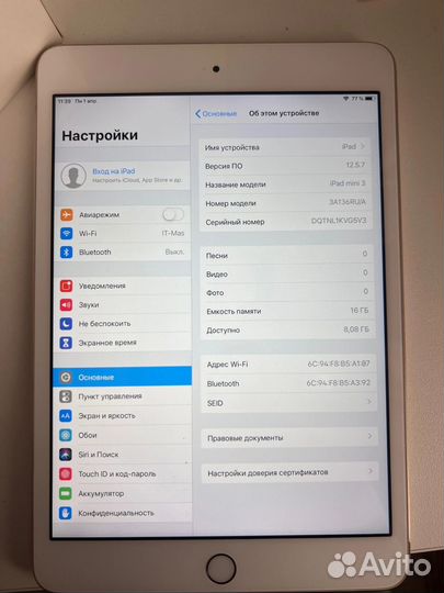 iPad mini 3 16gb