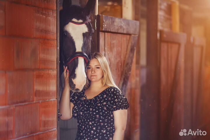 Конные прогулки на лошадях