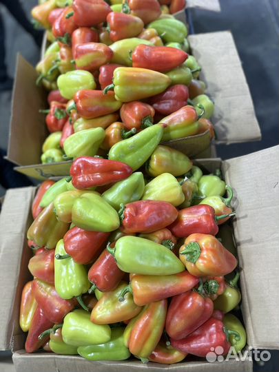 Перец болгарский свежий бесплатная доставка