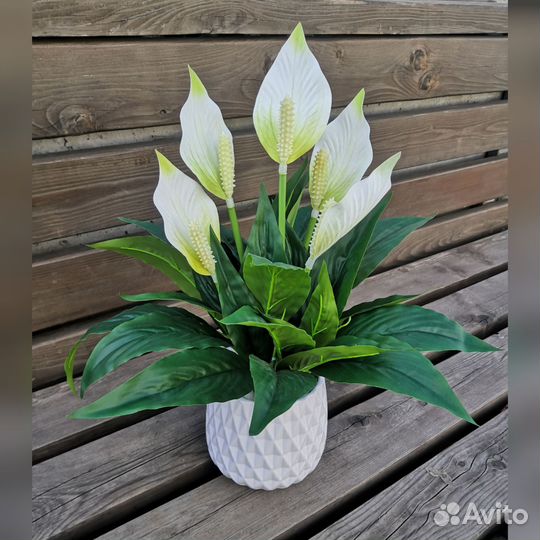 Спатифиллум искусственный