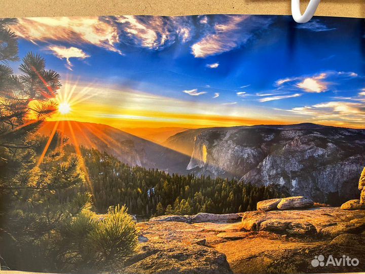 Epson stylus pro 11880