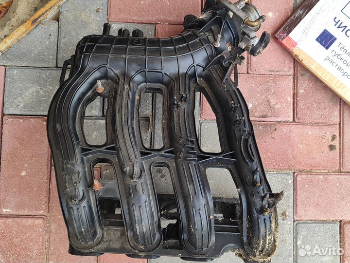 Выпускной пластик