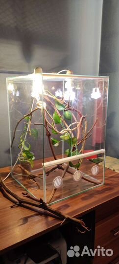 Террариумы на заказ